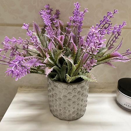 Apartment Zara Ngoại thất bức ảnh